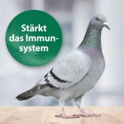 Quiko Med 75 G -Tierbedarf Rabatt Geschäft 891109defdd0cc1b45825661a19ad8f09342ca0f 1387822 de DE 025daf49bd602db4fb789c7adb568297fc248492JupJIT