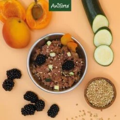 Aniforte Ente 2,4 Kg -Tierbedarf Rabatt Geschäft 8935a7450ab8ddc34729bfe6098b06abc30af9cb 1422204 de DE 9202deb0f72c6fb6a090e358d9de03093d55392085KOyC