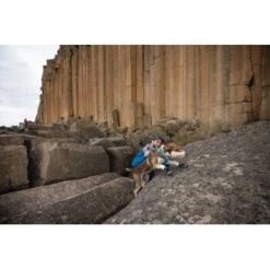 Ruffwear Grip Trex™ Hundeschuhe -Tierbedarf Rabatt Geschäft 8a04129089dd0c034c3440ca2f5a059543497a42 1363993 de DE 62eaf59e4c30b32a0494684f66bc46a3e77f909dJ6uyPm