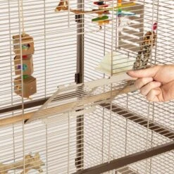 Montana Cages Voliere Paradiso 90 Schoko -Tierbedarf Rabatt Geschäft 8a51e1e8340559f25f4320aa285908e55a235d2f 1200892 de DE 0576ffe209ea05253ebe1a6e08466fe13ae3f4a3jFC7T8