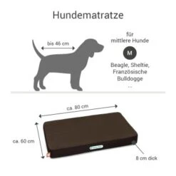 Doctor Bark Hundematratze Braun M -Tierbedarf Rabatt Geschäft 8abe0340ce832664c2722d96d1e321211e8fd65b 1658174 de DE ef448a38ca6ae1689b1395db88153ebc88580afayC3rpx