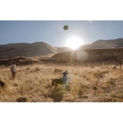 Ruffwear Hover Craft™ Spielzeug Orange -Tierbedarf Rabatt Geschäft 8b74389fdbc592fa493fa8449b24cad477f71e65 1364297 de DE d7bfcddc5967d79946d8e13f648d6053d56005c9XiBl8J