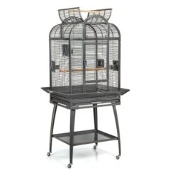 Montana Cages Voliere Havana Dunkelgrau -Tierbedarf Rabatt Geschäft 8c5dda96dcd1ea5fa941a34eb267552d97b45cb0 1070399 de DE cb0ae5e208fd4e2582ee831e9287d89255e31f8050vrNy