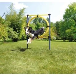 AniOne Agility Set 16 AniOne Agility Set -Tierbedarf Rabatt Geschäft 8dd2c346cfba9b57b3f14270694b3f975d0558fa 8ae19109d8863c833405d8d5b2e72b4315e858f5