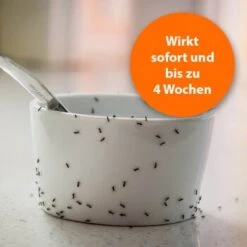 Ardap Ameisen Zerstäuber 500ml -Tierbedarf Rabatt Geschäft 8eba0b3d47233ce86e9e42982df198662b5f906b 1498735 de DE 6d8b58492dd55726d320717cb579b2df9341da7cGpNENf