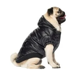 Canada Pooch Glänzende Pufferweste XXS -Tierbedarf Rabatt Geschäft 8ec11177ec9f86d200ff22bc3e0c234ecff91e7e dfb5b396c833a1ace7625fc5796632bee13eda68