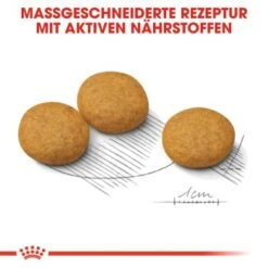 ROYAL CANIN Dermacomfort Medium 12 Kg -Tierbedarf Rabatt Geschäft 8f04353e35f6499cfaa322dbffbab4d24cf1658d 1376167 de DE iajs 7