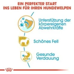 ROYAL CANIN Yorkshire Terrier Puppy 1,5 Kg 16 ROYAL CANIN Yorkshire Terrier Puppy 1,5 Kg -Tierbedarf Rabatt Geschäft 900669fdb2a03d007f9e4a13ada3e718bb10bd52 f1a1aa71333fcd4eb592993ae4f8ec88c5bd9347