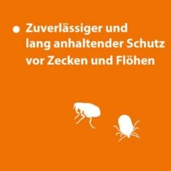 Ardap Spot-On Für Ziervögel & Brieftauben 10 Ardap Spot-On Für Ziervögel & Brieftauben -Tierbedarf Rabatt Geschäft 90b554efc21e705ba0ec273c3d72d9807137e3cf 1227326 de DE 8007938c2102583d14c431d45d2c4f4cb2b711f9sLEwOt