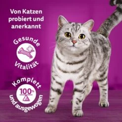 Whiskas Tasty Mix Multipack Chef's Choice In Sauce 40 X 85g 16 Whiskas Tasty Mix Multipack Chef's Choice In Sauce 40 X 85g -Tierbedarf Rabatt Geschäft 90c69f8b60998b1e42a320aa3c632d7b173d2464 1410720 de DE Whiskas 7