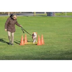 Trixie Dog Activity Hindernisse Ø30x50cm -Tierbedarf Rabatt Geschäft 91cbc45b90b8a0cfe868659f3dcf31f8aff28e6a 1287033 de DE Trixie Hindernisse wb 2