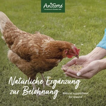Aniforte Hühnertraum 2,5kg 3 Aniforte Hühnertraum 2,5kg – Bild 3