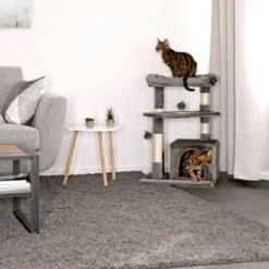 Lionto Kratzbaum, Höhe 75 Cm Dunkelgrau -Tierbedarf Rabatt Geschäft 93538dd92015274a424fbe418a728d711bf35ee4 1657050 de DE cdf2aedfa5f00533ccf45fdd95fec703142abcfaEAr6hi