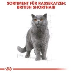 ROYAL CANIN British Shorthair Adult 2 Kg -Tierbedarf Rabatt Geschäft 9365d2e698cecd605cd1a65c1f6739678bb8db93 b918cdac1f0d9facd4834fa0fbe07edcafd8fe8b