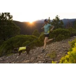 Ruffwear Trail Runner™ Laufgurt Limonen Gelb L-XL -Tierbedarf Rabatt Geschäft 93a58c4fc27710218901d94aece28188b07bd319 1651444 de DE 8247d7fe22d77de2e7ea731c778011a0fe985828KUUc7c