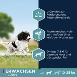 EUKANUBA Active Adult Medium Breed Mit Huhn 15 Kg -Tierbedarf Rabatt Geschäft 974a6b86f2565ad809ee31d93823535018b6d34e 8710255119786 2