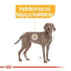 ROYAL CANIN Dermacomfort Maxi 12 Kg -Tierbedarf Rabatt Geschäft 978db22590ba776f59a9c9320bcbe8c33f40379a 1376168 de DE aosa 5