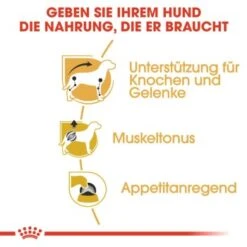 ROYAL CANIN Dachshund Adult Mousse 12x85g -Tierbedarf Rabatt Geschäft 982fa56de23080eda60824de668a90bb86526e42 2f665959d4c475e51ab5a55b633f70a2346bb169