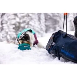 Ruffwear Quencher™ Napf Entenbraun S -Tierbedarf Rabatt Geschäft 983b44e52d85dda41d0467ee7781e020abbb2152 1651498 de DE 21ffaeb92e43b0608358d82dfc4539350596508aAX4iET