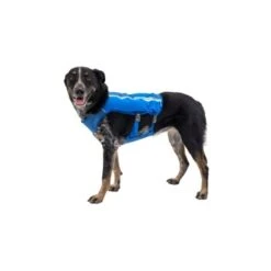 Ruffwear Trail Runner™ Weste Blau XS -Tierbedarf Rabatt Geschäft 98442c3f4ada02dc38bbe918031392b2ba7e1943 1639640 de DE 57b978069b1aa95a705eb1af32811decb2e9cfecAOoih7