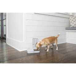 PetSafe Futterautomat Für 2 Mahlzeiten -Tierbedarf Rabatt Geschäft 98670f242f118bad629edcf021dc784c6a55633d 1343837 2