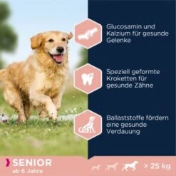 EUKANUBA Senior Large & Giant Breed Lamm & Reis 12kg -Tierbedarf Rabatt Geschäft 9a800125a21c4150fa4e12ea89fb6d238d0ecc05 dc3f815ea1bcea675af23baf846f997924ddadfc