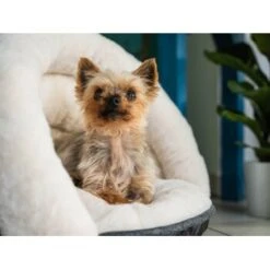TrendPet LunaSuite Kuschelhöhle Beige S -Tierbedarf Rabatt Geschäft 9b0e6908967831ef01ff6d76b34cd73bf7a2a82e 1347915 de DE 8819a7e1f2833756a61a70e3d5a5906257b91fccVBpHKR