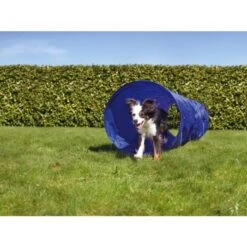 AniOne Agility Tunnel -Tierbedarf Rabatt Geschäft 9b82da119a923abe80bb6d63ef97328c5e1e7dcf 2dc906b772e837b2770e0f896237c640992fd5d2