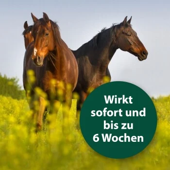 Equisept Fliegen- Und Ungeziefermittel M 2 Equisept Fliegen- Und Ungeziefermittel M – Bild 2