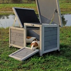 Lionto Kleintierhaus, Hellgrau -Tierbedarf Rabatt Geschäft 9d5aa4b80d994a15aaae0980907eba6d9cdb6116 1498022 de DE e6a11da58c22a78caa9ce16194394a1f9e88b942CvTEpn