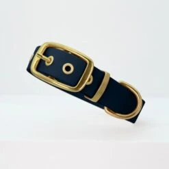 THE DOG IDEA Biothane Halsband Gold Navy M 6 THE DOG IDEA Biothane Halsband Gold Navy M -Tierbedarf Rabatt Geschäft 9f1562ec57d1414f7d7d6231cb968edb6b5ba12b 1655426 de DE 73a32064b6947ff4b43a61e3018ce35ebe0c138arJzcZs