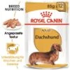ROYAL CANIN Dachshund Adult Mousse 12x85g