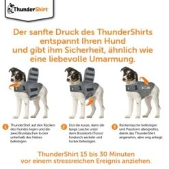Thundershirt Beruhigungsweste Grau XS 15 Thundershirt Beruhigungsweste Grau XS -Tierbedarf Rabatt Geschäft 9ff088bccc5f7d02926fc2c1845a1030d5e07bc3 1102942 5