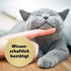 Felisept Home Comfort Beruhigungshalsband Für Katzen -Tierbedarf Rabatt Geschäft a12253aa64d0ef9e2479e95be523a78f4faefdb3 1238279 de DE Felisept 3
