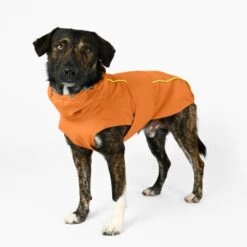THE DOG IDEA Regenmantel Duke Orange XXXS -Tierbedarf Rabatt Geschäft a1af009970fbe0d49b23b55aae3478442e9eb5e6 1473000 de DE e975935bd14ae10e3cbf4709cc9d05a6879844e2TUSiIw
