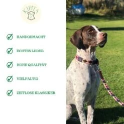 Kipita Polo Hundeleine Rainbow 11 Kipita Polo Hundeleine Rainbow -Tierbedarf Rabatt Geschäft a2c75ce377ad0bdc620fae8249de4744cf0eee28 1410921 de DE 6f891659a2f595d1b30e918fefe4ff5811ec8a16AyAJ3g