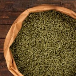 Knabbermann Carangas Meerschweinchenfutter 5 Kg -Tierbedarf Rabatt Geschäft a2e9cfd2264a4440e350760ec4221a6690c6de11 1428488 de DE 94a0405cce40204948fd074580f5b244e504aac3WMbRWS