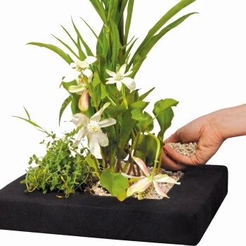 Velda Floating Plant Island Eckig 35 Cm 1 Velda Floating Plant Island Eckig 35 Cm