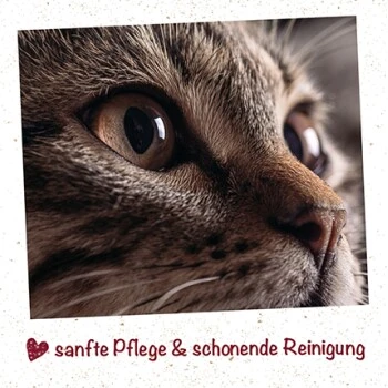 FeliTATZ Aufenreiniger 2 FeliTATZ Aufenreiniger – Bild 2