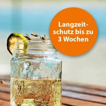 Ardap Wespenfalle 4 Ardap Wespenfalle – Bild 4