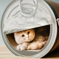 District 70 CAN Cardboard -Tierbedarf Rabatt Geschäft a4cd0fa7850dfd13b737775762ce59afa0fa6bcc dc81845d134bfb19e2eca4e5bc9344d6856acd6a