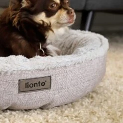 Lionto Rundes Hundebett Grau S 10 Lionto Rundes Hundebett Grau S -Tierbedarf Rabatt Geschäft a6ab04b214ff0892dee4583bd78b5b499d99f8a6 1657076 de DE 85669fb3276a5702616452e75984e4cb14aa5e6fKJHFXc