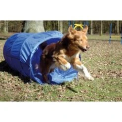Dobar Agility Tunnel, 60 X 500 Cm -Tierbedarf Rabatt Geschäft a70db425a55e65c0dd33cb4658677f3cead28e72 3dc1d9596c73e287c8ea8bc83f8445abe7adc92a