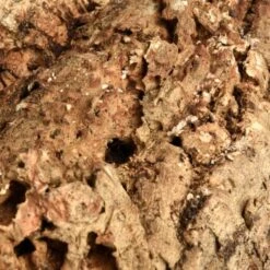 HappyBird Kork Sitzbrett XL -Tierbedarf Rabatt Geschäft a774c45f38b43354bd86d7a04e9ad16d0eaf1a6c 1416847 de DE 4d26871b626013948e4cb08465e286887bfaaa137dh8BQ