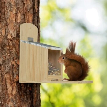 AniOne Eichhörnchen Futterspender 3 AniOne Eichhörnchen Futterspender – Bild 3