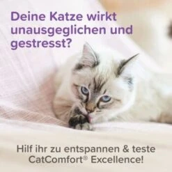 Beaphar CatComfort Excellence Nachfüll-Flakon Für Verdampfer 17 Beaphar CatComfort Excellence Nachfüll-Flakon Für Verdampfer -Tierbedarf Rabatt Geschäft a8613b584df98a596d32ec535fff51094d4ea86c 1416647 1 3