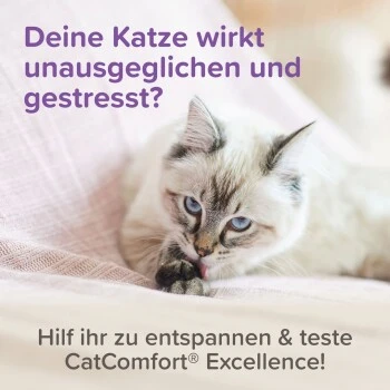Beaphar CatComfort Excellence Nachfüll-Flakon Für Verdampfer 9 Beaphar CatComfort Excellence Nachfüll-Flakon Für Verdampfer – Bild 9