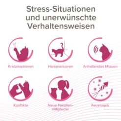 Beaphar CatComfort Excellence Nachfüll-Flakon Für Verdampfer 16 Beaphar CatComfort Excellence Nachfüll-Flakon Für Verdampfer -Tierbedarf Rabatt Geschäft aa6740035f99902181a1da29aff4eee13880e36f 1416647 1 2
