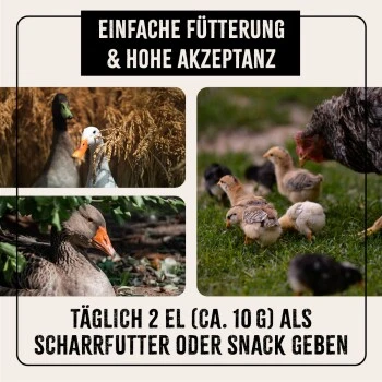 Aniforte FarmLife Soldatenfliegenlarven 800g 6 Aniforte FarmLife Soldatenfliegenlarven 800g – Bild 6