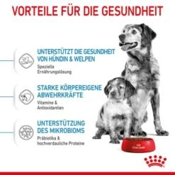 ROYAL CANIN Medium Starter 15 Kg 14 ROYAL CANIN Medium Starter 15 Kg -Tierbedarf Rabatt Geschäft acb15bbb7b41e4def079872bea4263585c7c6e23 5870a5fecba74a3a49092a07c120a3ff257b845d